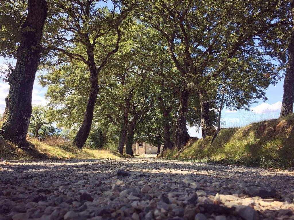 Agriturismo iPoderi Chianciano Terme Esterno foto