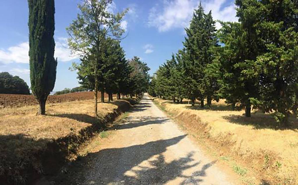 Agriturismo iPoderi Chianciano Terme Esterno foto